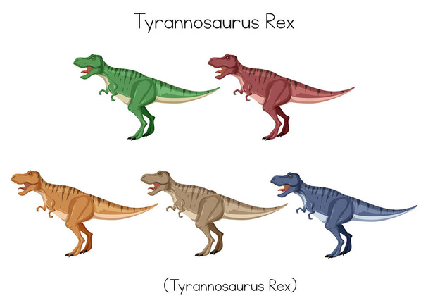 Тираннозавр Рекс в пяти цветовых иллюстрациях - Вектор,изображение