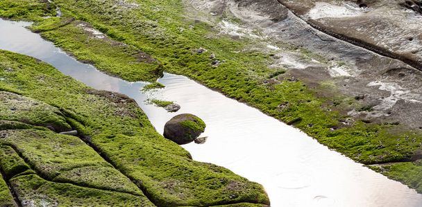 wet beach with rock formations and green algae growth - Foto, Imagem