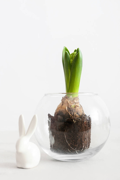 Glass pot with beautiful hyacinth plant and Easter bunny on light background - Fotó, kép