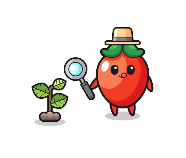 roztomilý chilli pepř bylinkář výzkum rostlin, roztomilý design - Vektor, obrázek