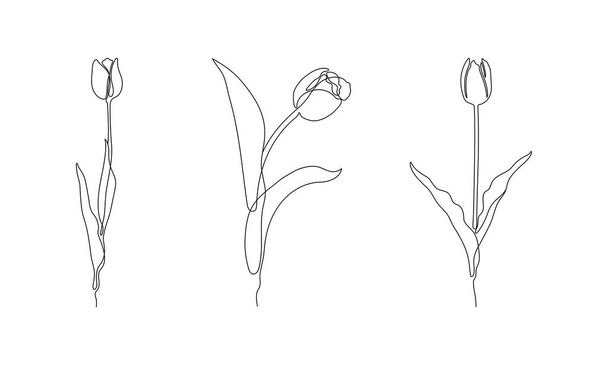 ilustrace květin v jednom liniovém stylu. průběžná kresba ve vektoru nejlépe používaném pro ikonu, nástěnné výtisky, plakáty, časopis, pohlednice, atd.. - Vektor, obrázek