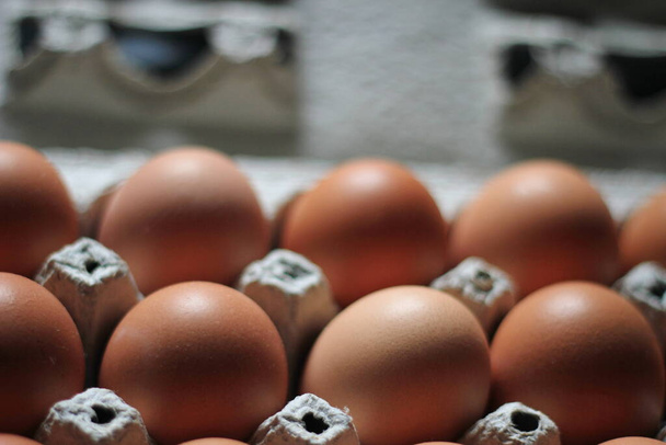 kippeneieren in de eierdoosje, eiwitvoeding, geel-oranje kippeneieren - Foto, afbeelding