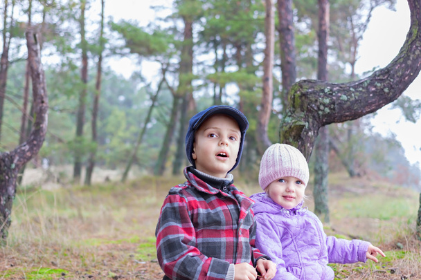 Children two brother sister together forest outdoor - 写真・画像