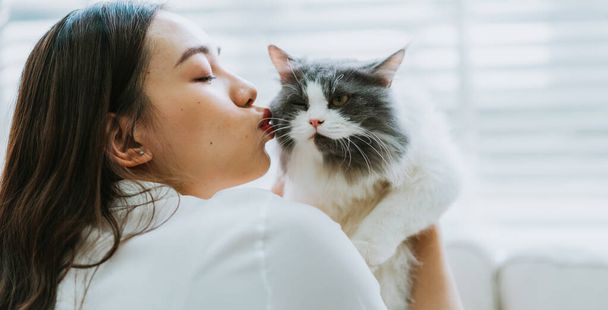 Young Asian woman playing with cat at home - Photo, Image
