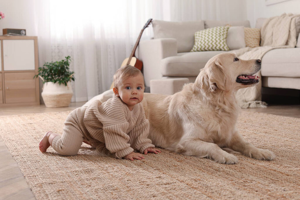 Симпатичный маленький ребенок с восхитительной собакой на полу дома - Фото, изображение