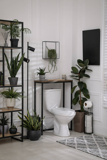 Stylish bathroom interior with toilet bowl and many beautiful houseplants - Fotoğraf, Görsel
