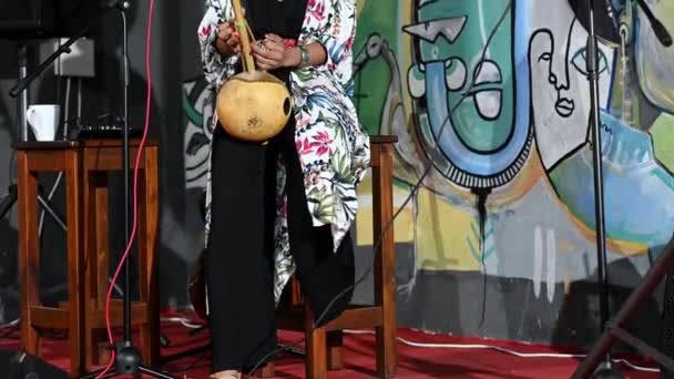 Καλλιεργημένη φωτογραφία του καλλιτέχνη δει να παίζει kora όργανο - Πλάνα, βίντεο