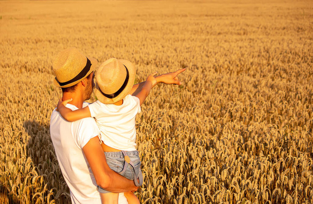 agriculteur et son fils marchant champs de blé.foyer sélectif - Photo, image