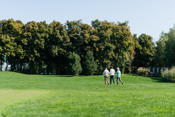 widok z tyłu seniorów wielonarodowych przyjaciół spacerujących po zielonym polu z kijami golfowymi - Zdjęcie, obraz