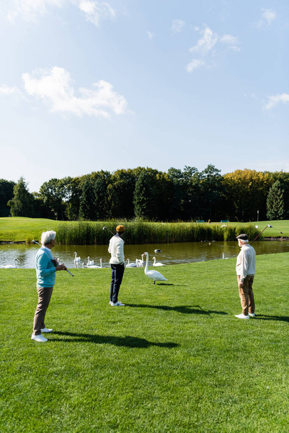 visão traseira de homens multiétnicos seniores com tacos de golfe em pé no gramado verde perto de cisnes - Foto, Imagem