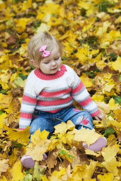 Baby girl with autumn leaves - 写真・画像