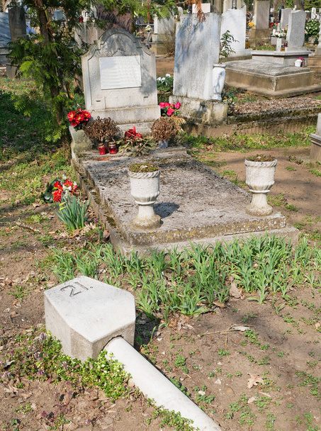 Nagrobki na cmentarzu publicznym - Zdjęcie, obraz