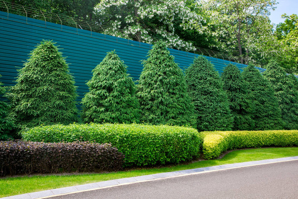 roadside asphalt road with drainage canal with green plants deciduous bushes and pine trees. - Foto, Imagen