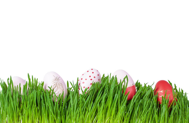 Colourful pink and red easter eggs in green grass, on white backround - Foto, imagen