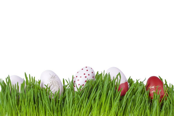 Colourful pink and red easter eggs in green grass, on white backround - Foto, imagen