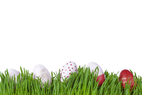 Цветные розовые и красные пасхальные яйца в зеленой траве, на белом фоне - Фото, изображение