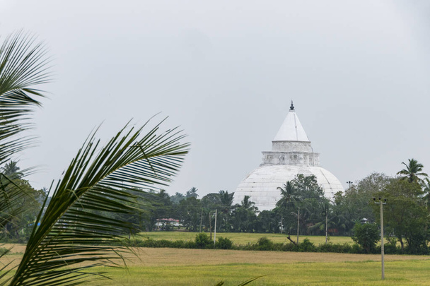 Tissa, Sri Lanka Le temple bouddhiste Stupa de Tissamaharama se profile sur les champs. - Photo, image