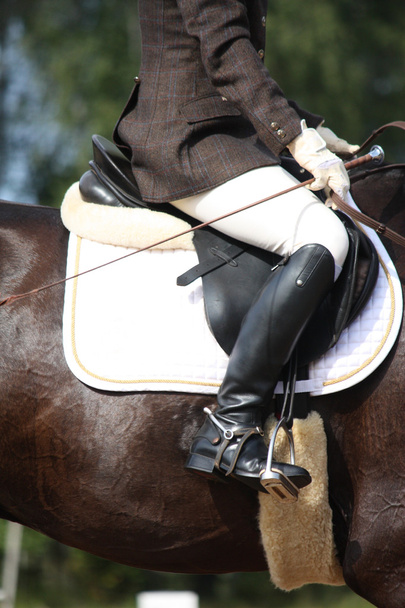 Zár-megjelöl-ból lovas Díjlovas verseny alatt - Fotó, kép