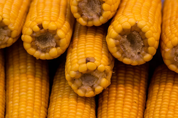 Grilled corn vegetal alimentos fondo - Foto, imagen