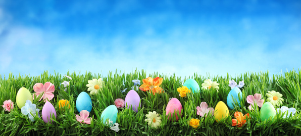 Bright colorful Easter eggs on green grass with flowers against blue sky - Photo, Image
