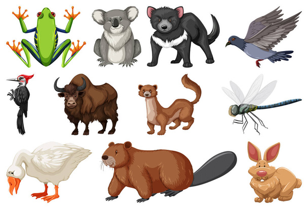 Διάφορα είδη ζώων εικονογράφηση συλλογή - Διάνυσμα, εικόνα