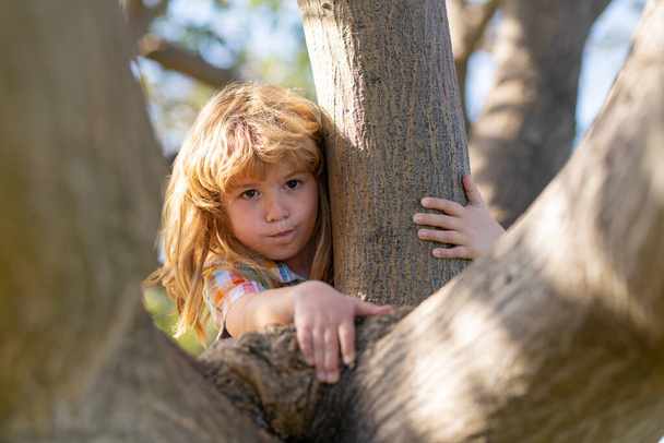 Young child blond boy climbing tree. Happy child playing in the garden climbing on the tree. Funny kids face. Childhood concept. - Foto, afbeelding