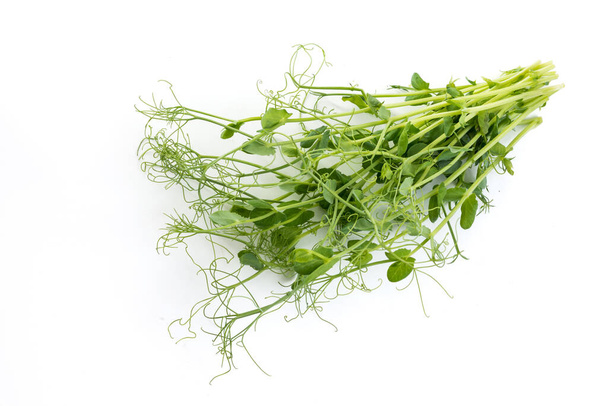 pea shoots with tendrils lying flat, isolated on white - Photo, Image