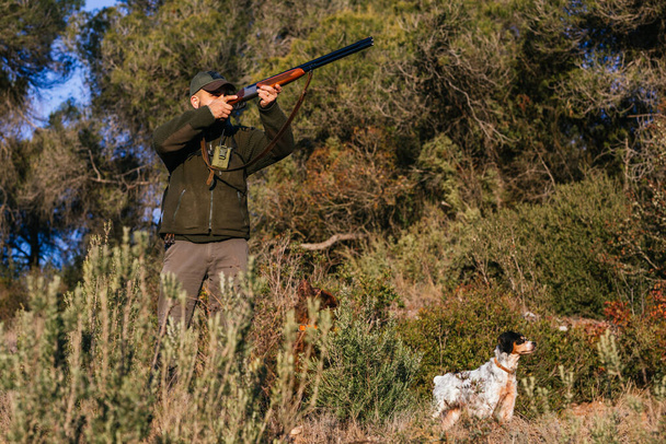 Erkek avcı köpekle avlanırken silahtan ateş ediyor. - Fotoğraf, Görsel