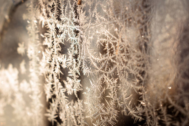 Холодні зимові квіти з льодом на склі, фон з місцем для тексту
 - Фото, зображення