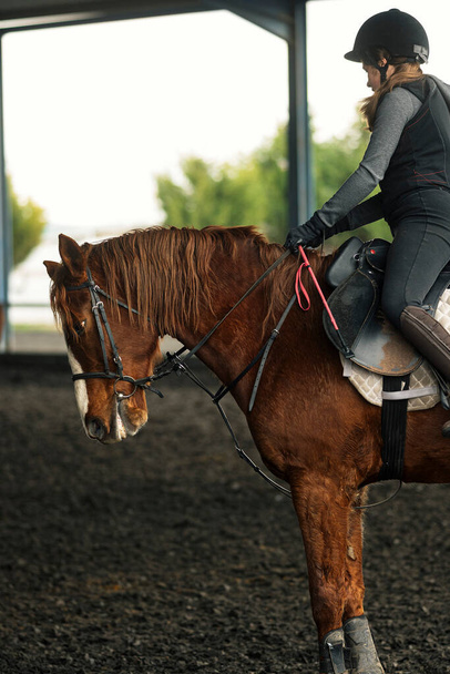 Молодая девушка в шлеме и специальной одежде верхом на лошади на песчаной почве загона - Фото, изображение