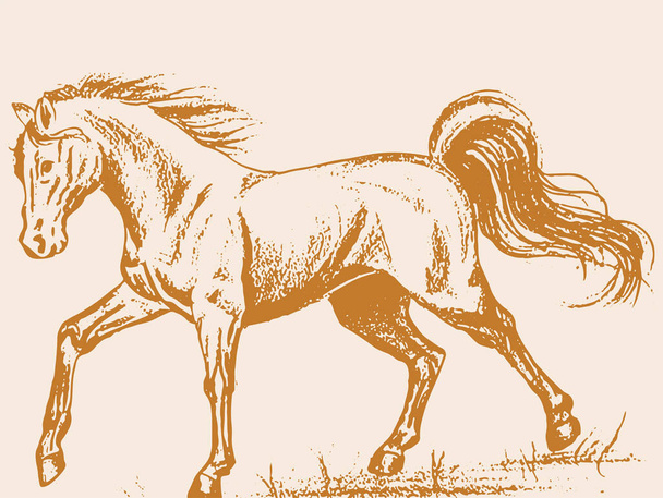 Σχέδιο ή σκίτσο της λειτουργίας περίγραμμα άλογο επεξεργάσιμο εικόνα - Διάνυσμα, εικόνα