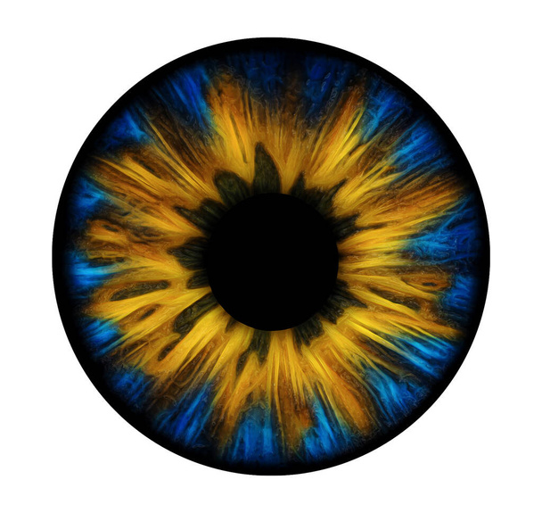 Bandera de Ucrania colores iris ojo. ilustración detallada del iris humano. Concepto de esperanza - Foto, Imagen