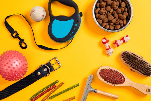 Dog accessories on yellow background. Top view. Pets and animals concept - Valokuva, kuva