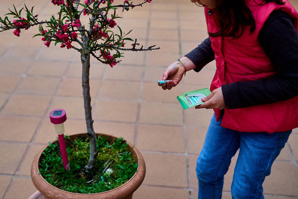 Mädchen bringt Dünger für Topfpflanzen im zeitigen Frühjahr - Foto, Bild