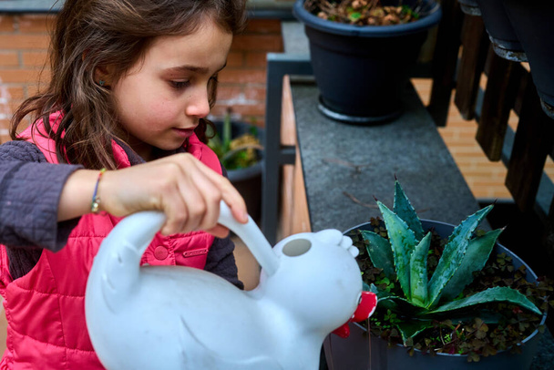 дівчина поливає горшкові рослини ранньою весною з качиною у формі поливу
 - Фото, зображення