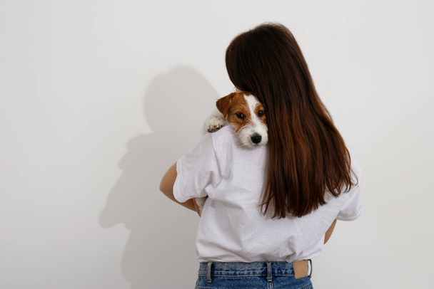 Studio portrait of young beautiful woman playing with her adorable wire haired Jack Russel terrier puppy. Loving girl with rough coated pup having fun. White wall background, close up, copy space. - Фото, изображение