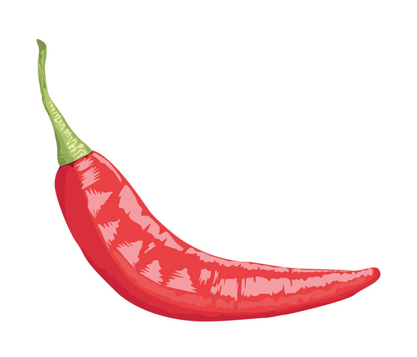 healthy chili pepper vegetable - Vector, Image