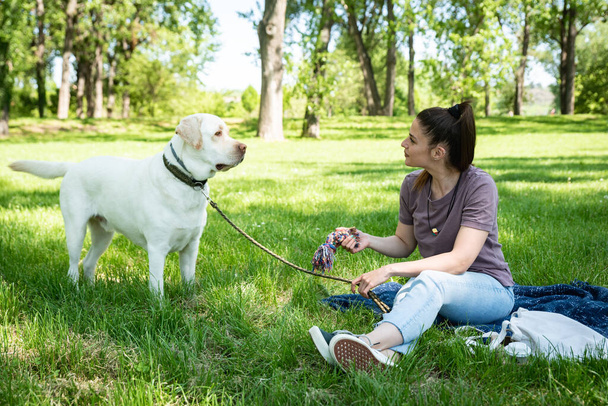Young beautiful woman in the park with her pet dog white Labrador Retriever that she adopt from the pet shelter to give him good life and love. Female animal lover with her adopted puppy having fun. - Foto, afbeelding