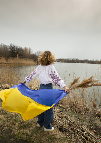Невпізнавана молода жінка стоїть спиною на березі озера з блакитним і жовтим українським прапором. Гордість нації, я українець. Люди проти війни. стійте з Україною - Фото, зображення