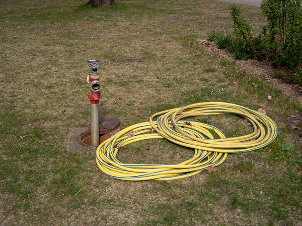 Podlewanie hydrantów w parku. System nawadniania - Zdjęcie, obraz
