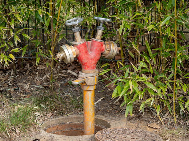 Riego de hidrantes en el parque. Sistema de riego - Foto, Imagen