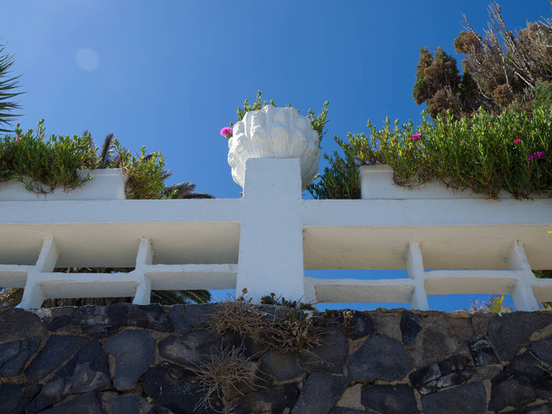 іспанського острова Тенеріфе
 - Фото, зображення