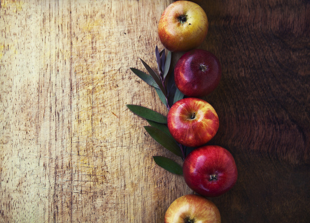 Apples and leaves - 写真・画像