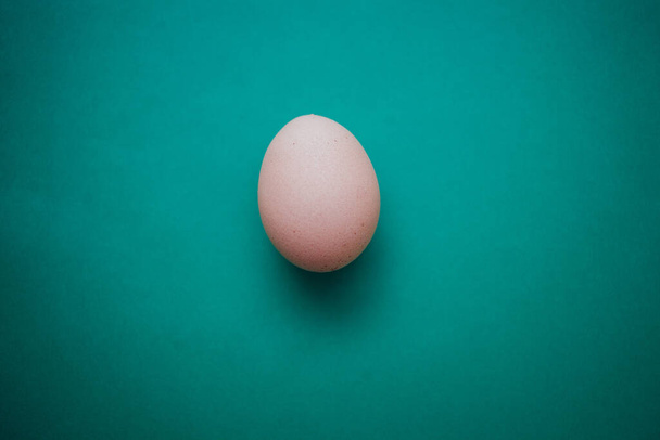 Raw egg on green background. Design, visual art, minimalism - Foto, imagen