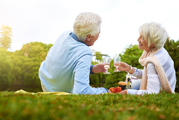 Picnic in the park. Shot of a senior couple enjoying a picnic in a park. - Foto, immagini