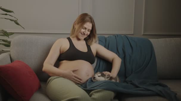 Беременная женщина проводит вечер с домашним животным. Они сидят на диване.. - Кадры, видео