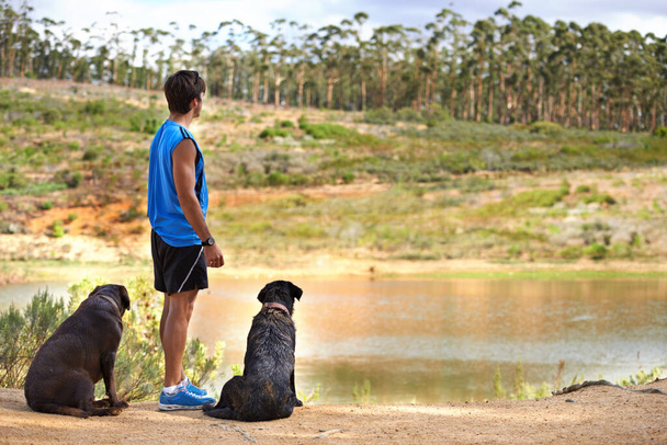 Taking the dogs for a scenic walk. A young man standing looking out over a pond with his two dogs next to him. - Photo, Image