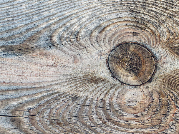 Una vieja tabla de madera. Primer plano de textura de madera - Foto, imagen