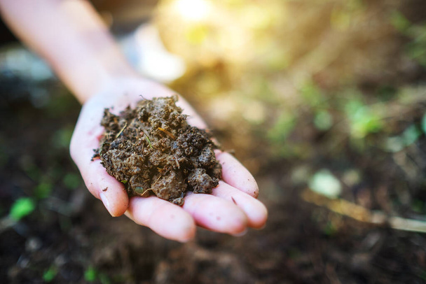 Closeup image of a woman holding and showing arable soil in hand - Foto, immagini