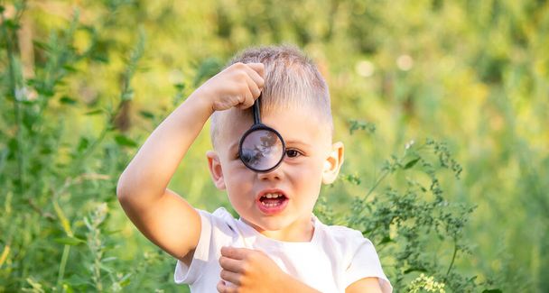 花を見て虫眼鏡で牧草地の自然を探索する若い男の子。森の中の好奇心旺盛な子供、未来の植物学者. - 写真・画像